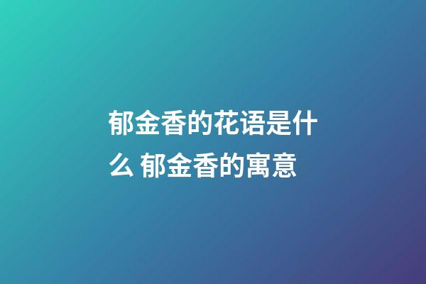 郁金香的花语是什么 郁金香的寓意